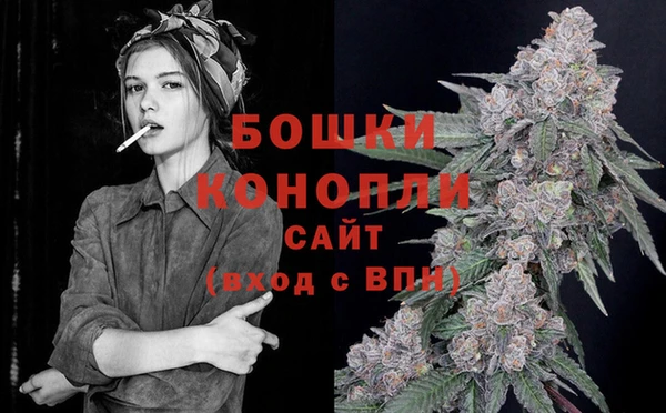 стаф Пересвет