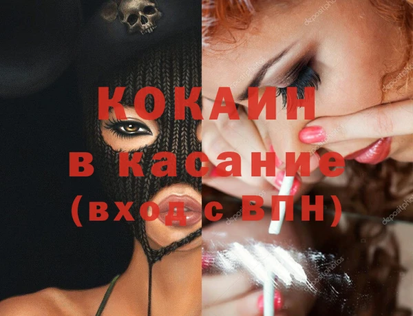 стаф Пересвет