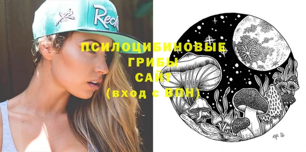 стаф Пересвет