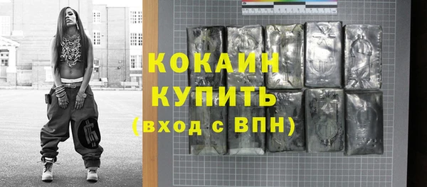 стаф Пересвет