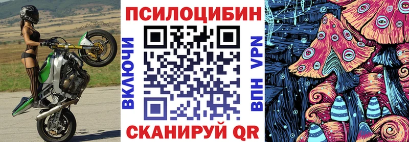 Галлюциногенные грибы мицелий  что такое   Курск 