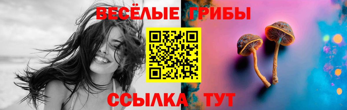 Курск  Псилоцибиновые грибы Psilocybine cubensis  Псилоцибиновые грибы мицелий  продажа наркотиков  Вход с VPN 